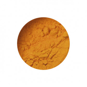 Pigment 100 grams Gamboge Powder