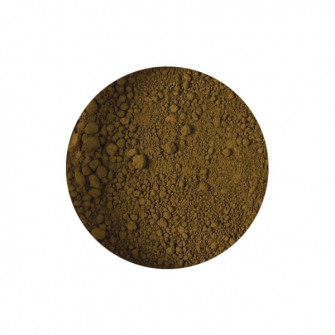 Pigment 100 grams Raw Umber