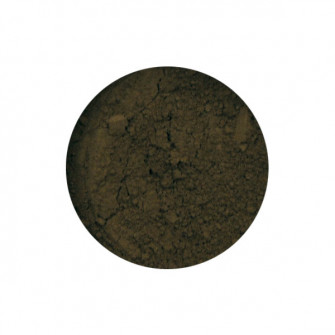 Pigment 500 grams Raw Umber Green