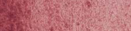 Schmincke Horadam Watercolour Half Pan Potters Pink Series 3