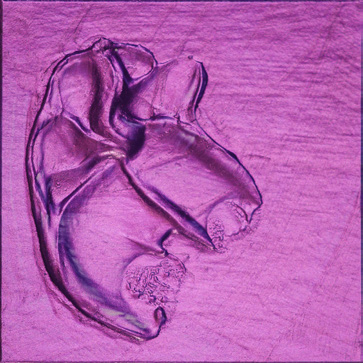Roberson Liquid Metal Red Purple 2.5 Litre
