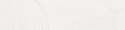 Gamblin Artists' Grade Oil 37ml RADIANT WHITE