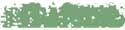 [SC17072D] Schmincke Soft Pastel Leaf Green 1 D