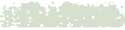 [SC17080O] Schmincke Soft Pastel Cold Green O