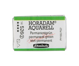 [SC14526Q] Schmincke Horadam Watercolour Full Pan Permanent Green Series 2