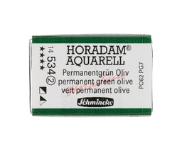 [SC14534Q] Schmincke Horadam Watercolour Full Pan Permanent Green Olive Series 2